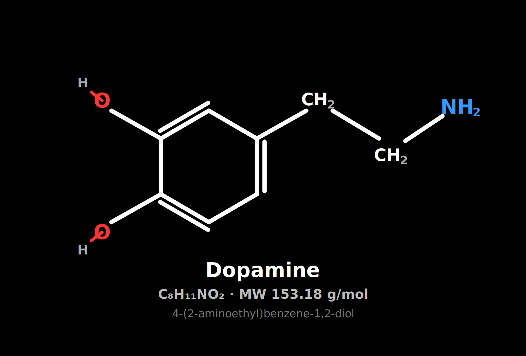 The Brain Chemical That Drives Recovery: What Dopamine Means for Your Health