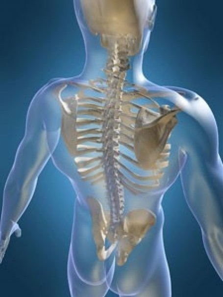 Spinal Cord Injury--