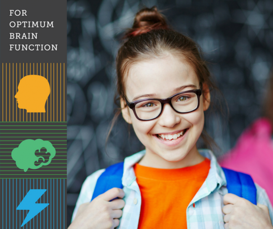 Clinical Neurological Rehabilitation--